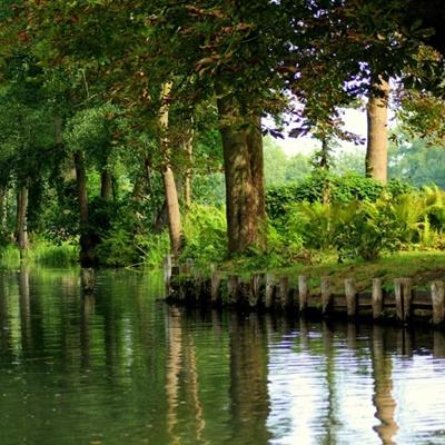 云顶集团app下载